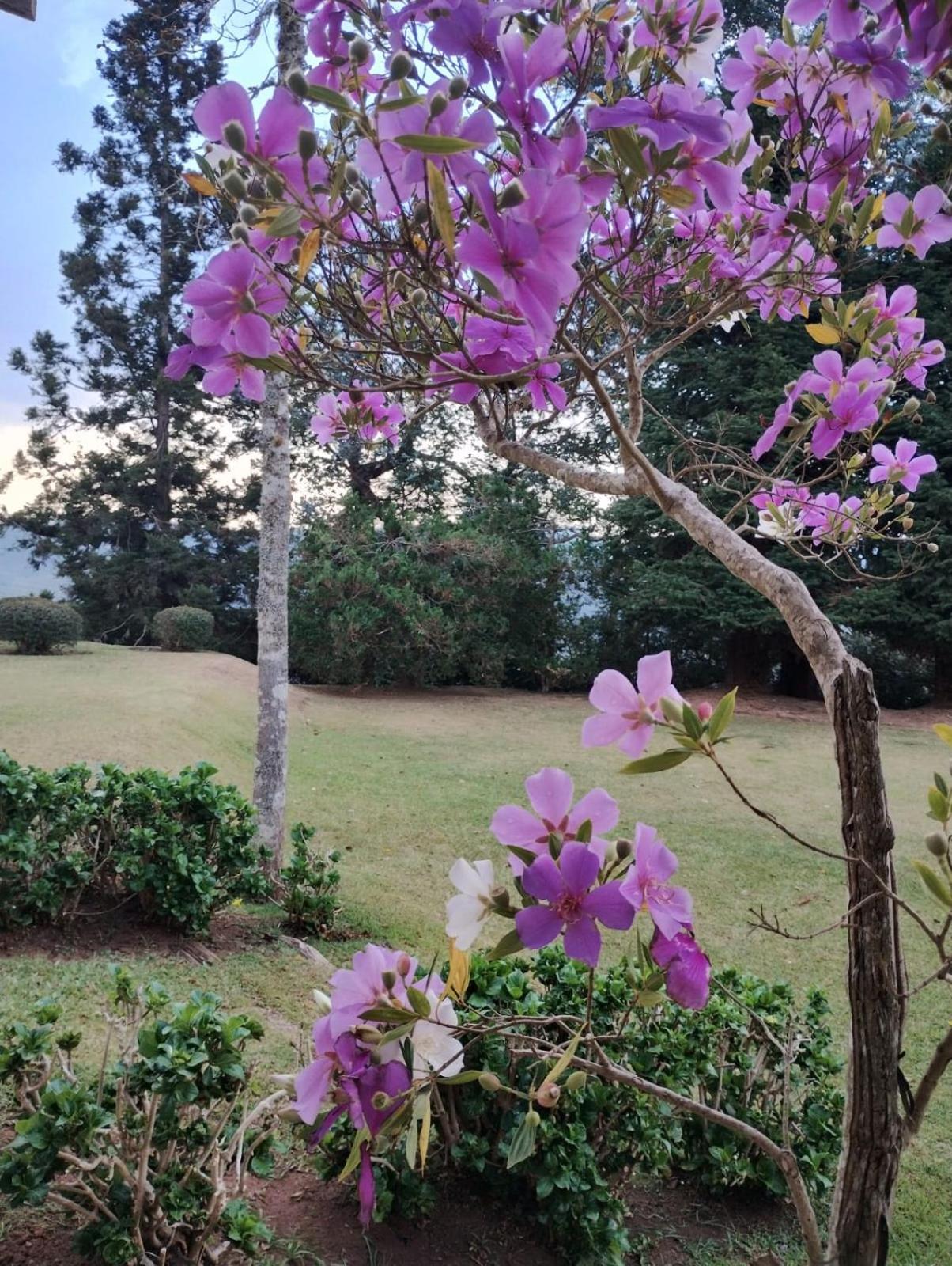Casa de férias Recanto Da Mantiqueira *