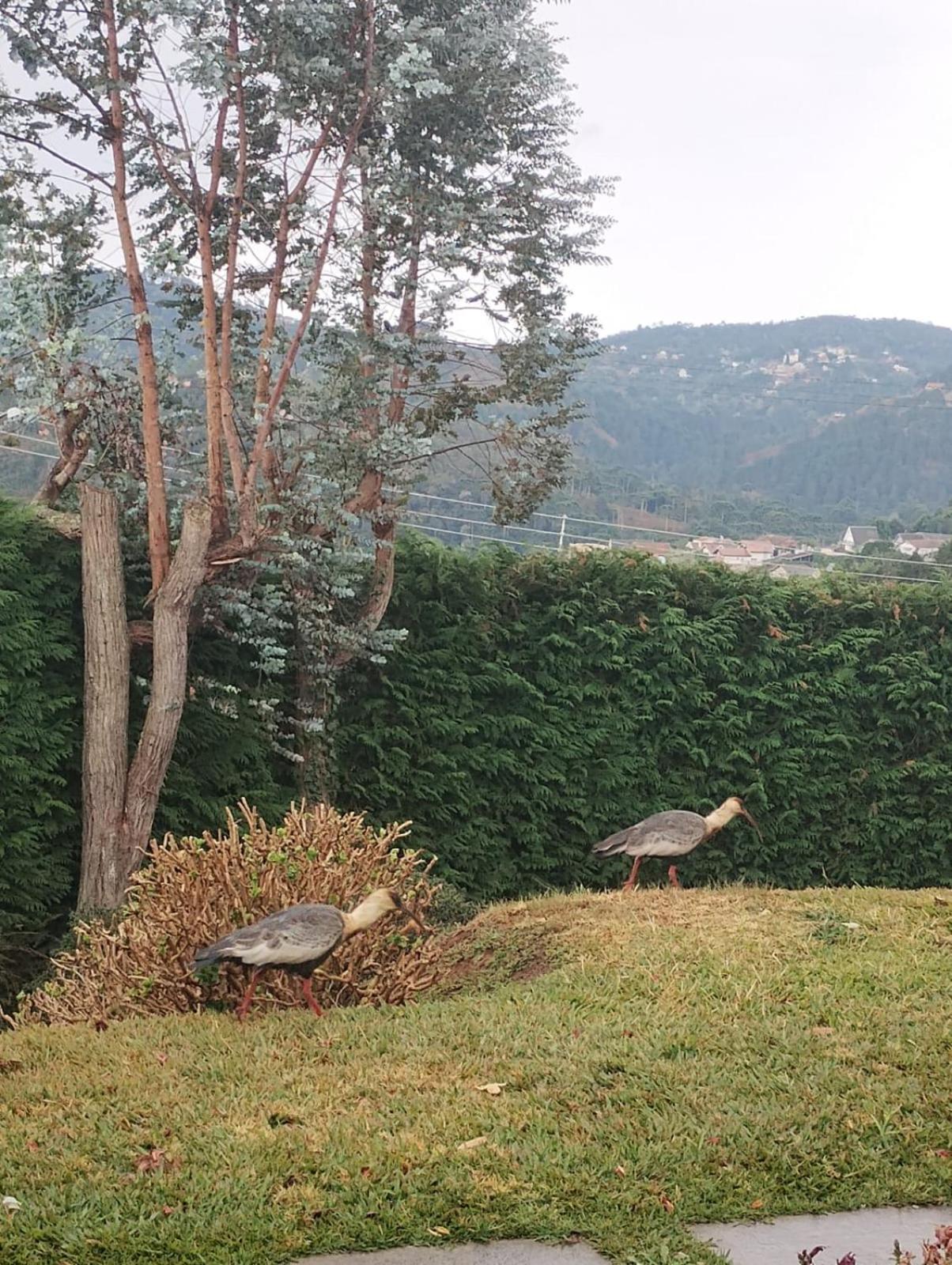 Recanto Da Mantiqueira *