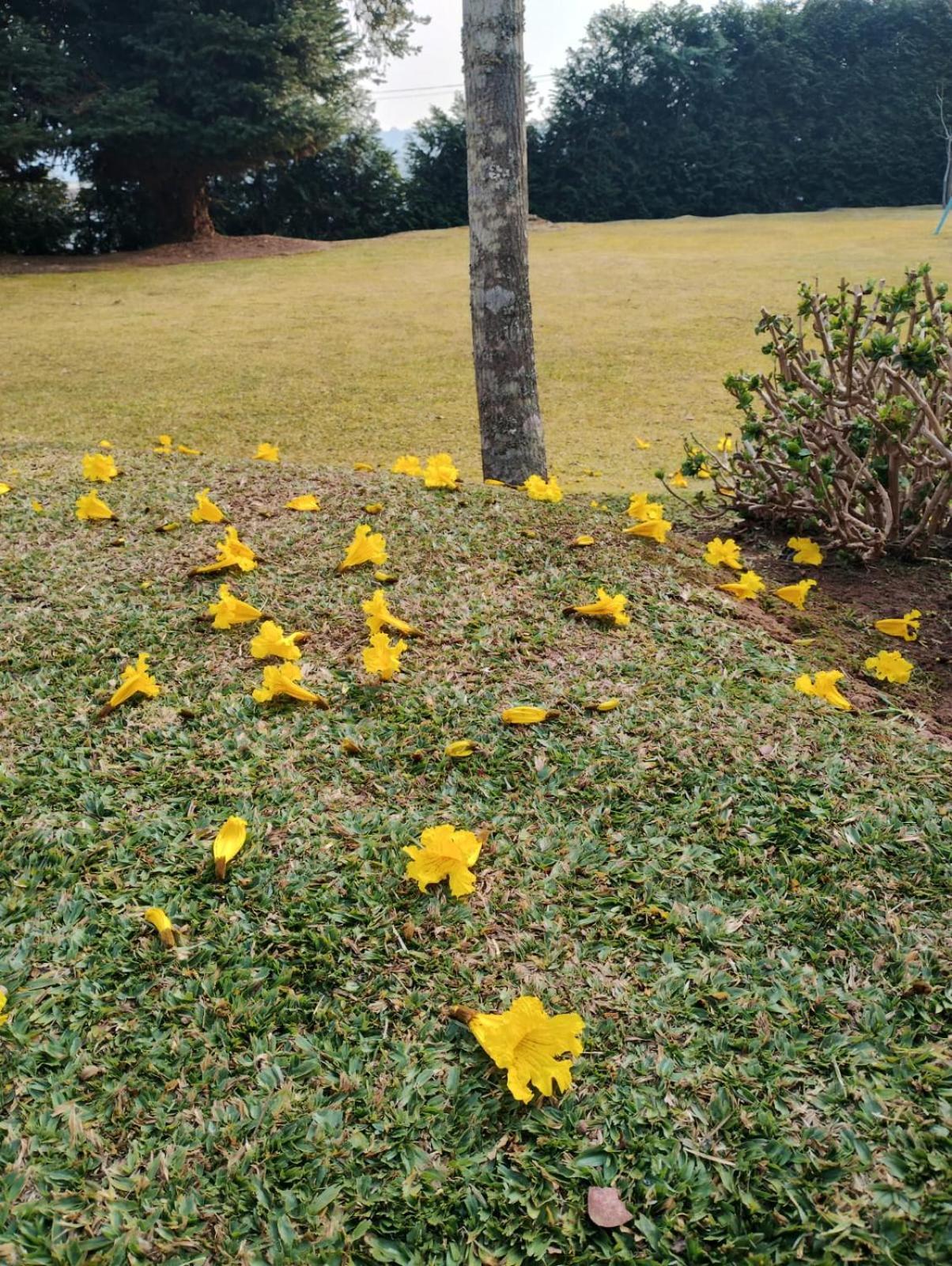 Recanto Da Mantiqueira Casa de férias Campos do Jordão